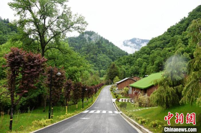 九寨溝熊貓園外景?！【耪瘻峡h委宣傳部提供 攝