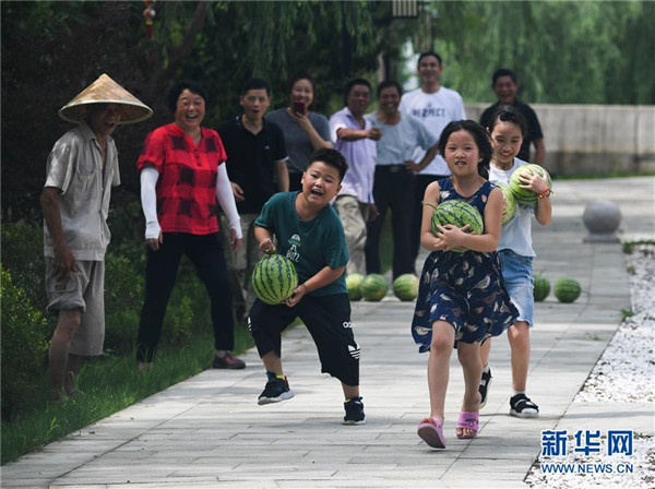 （社會(huì)）（3）大暑節(jié)氣“賽西瓜”