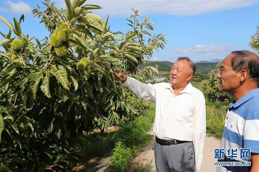 （新華全媒頭條·走向我們的小康生活·圖文互動(dòng)）（11）長(zhǎng)城腳下，小康村串成“珍珠鏈”